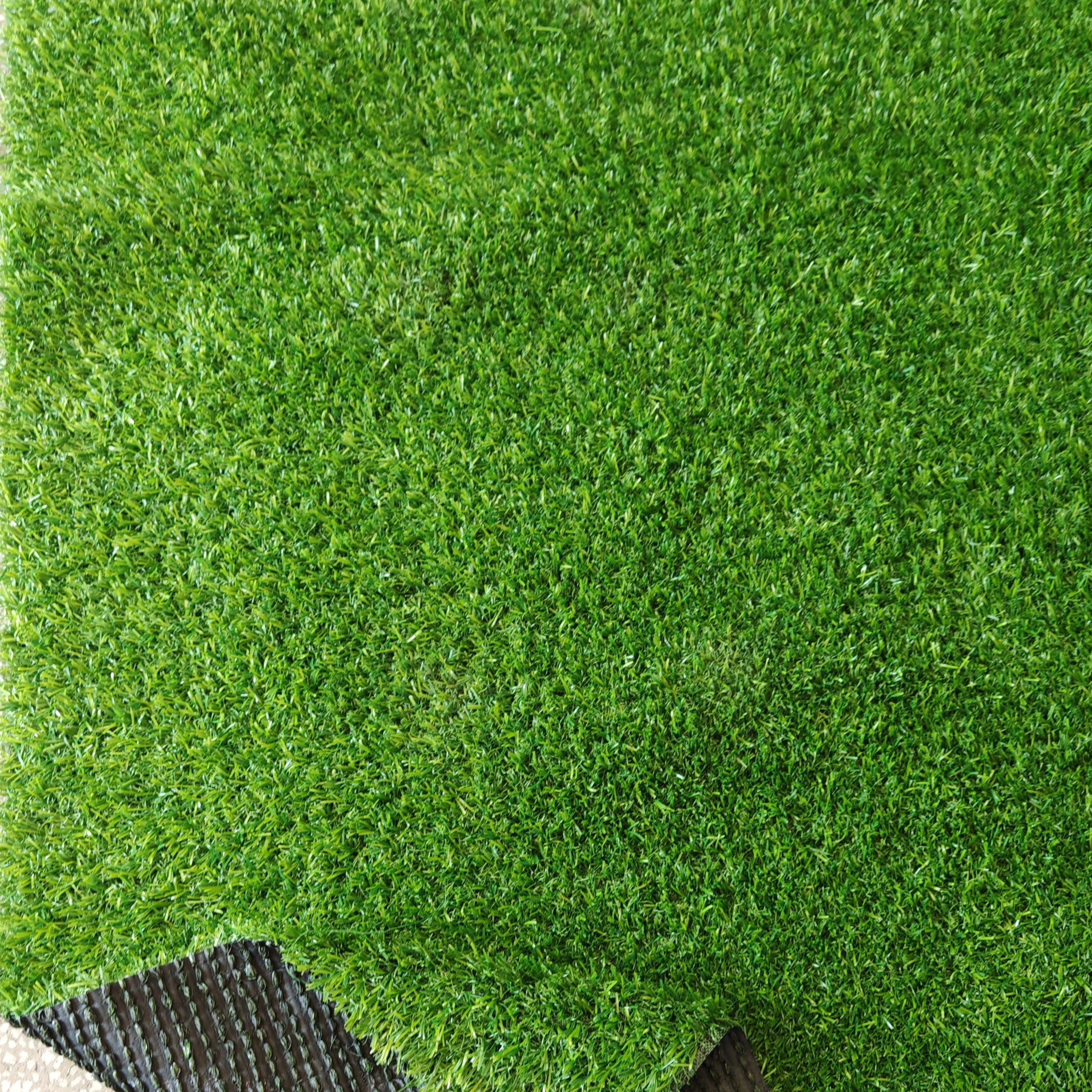 GAZON_EDNA_500_2_EMA_CARPETS