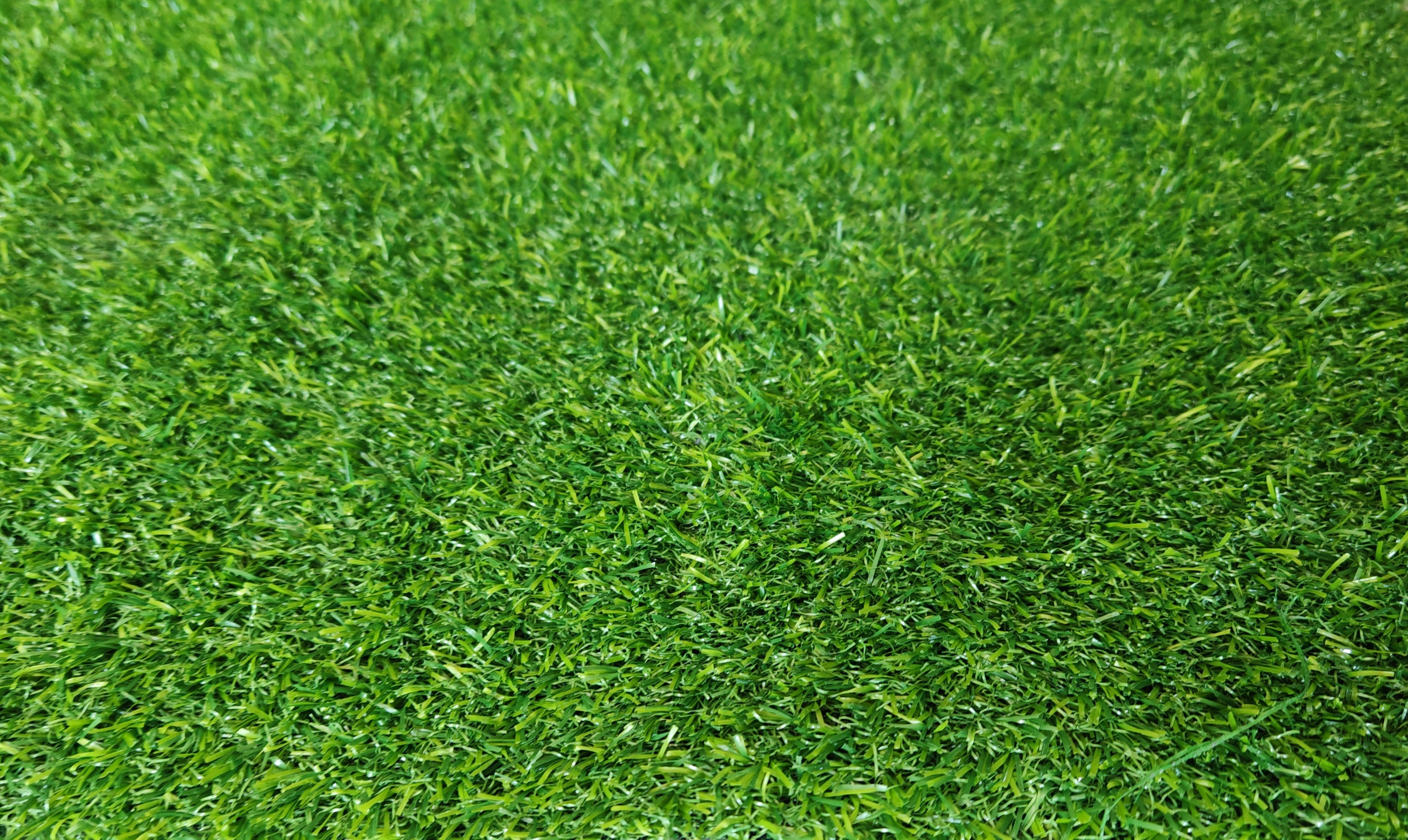 Gazon artificial EDNA, fir 22 mm latime 200 cm