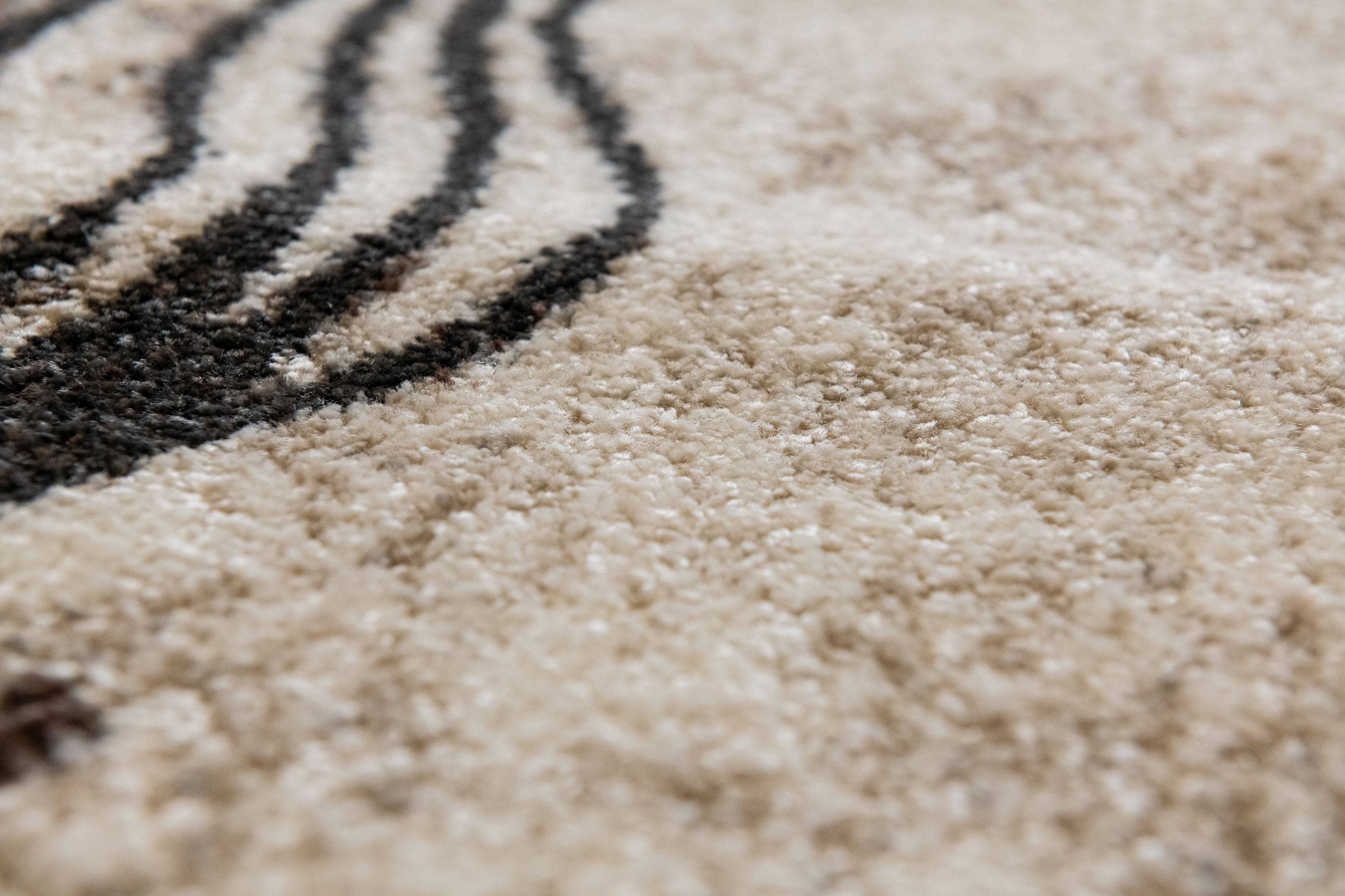 Covor Phoenix 5034, bej/maro - EmaCarpets