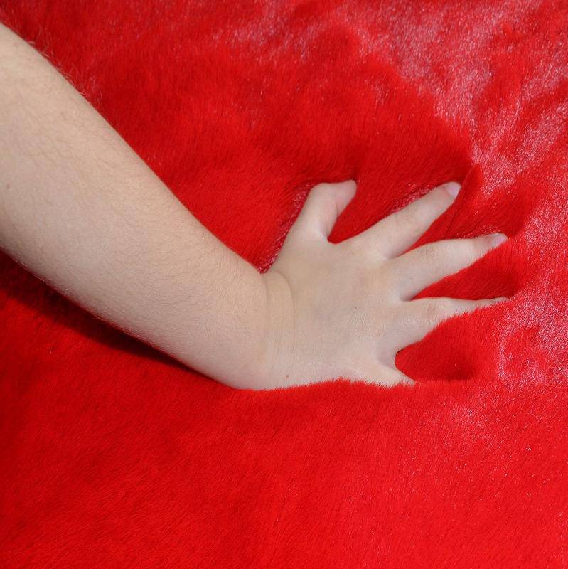 Covor Pierre Cardin, rosu, dreptunghiular - EmaCarpets